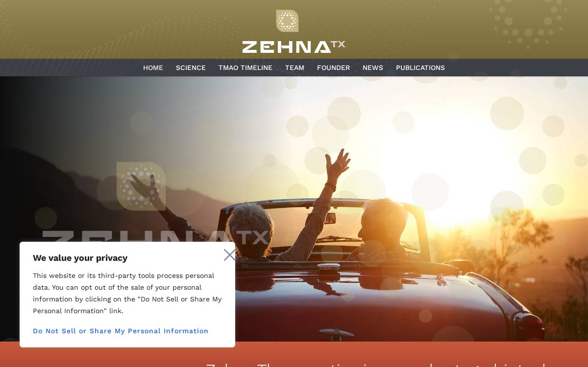 Zehnatx website preview