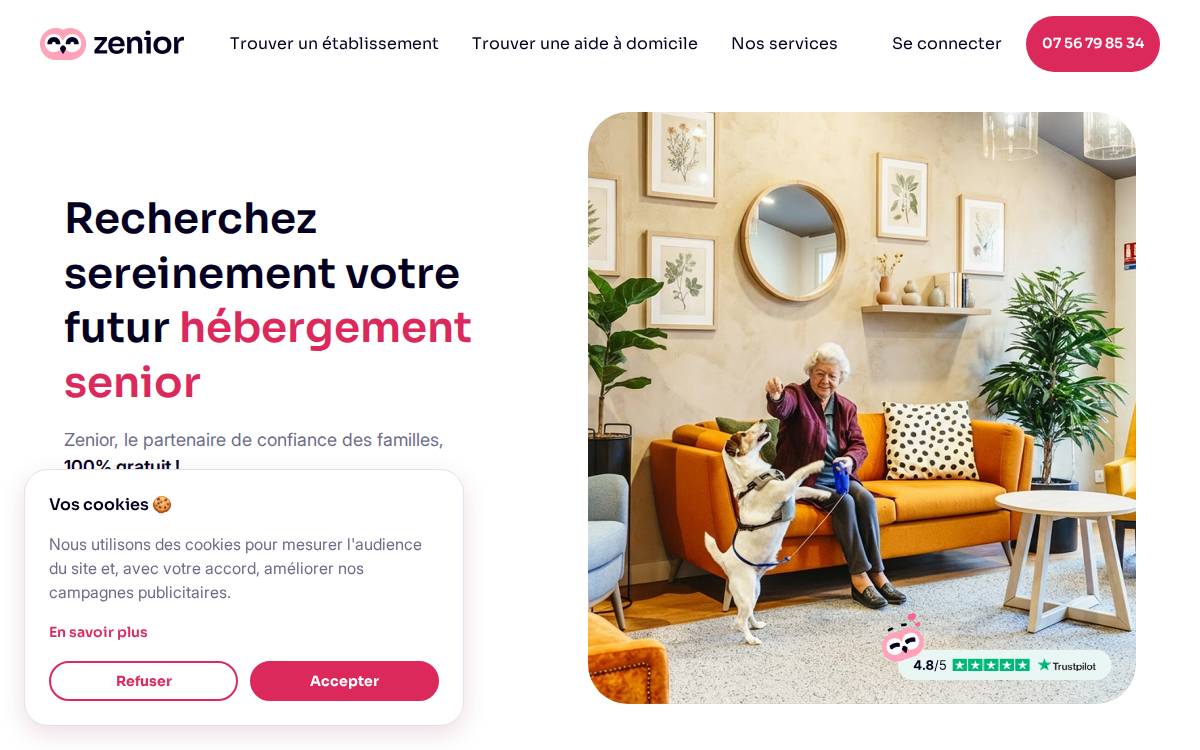 Zenior website preview