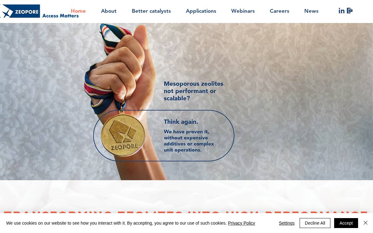 Zeopore Technologies website preview