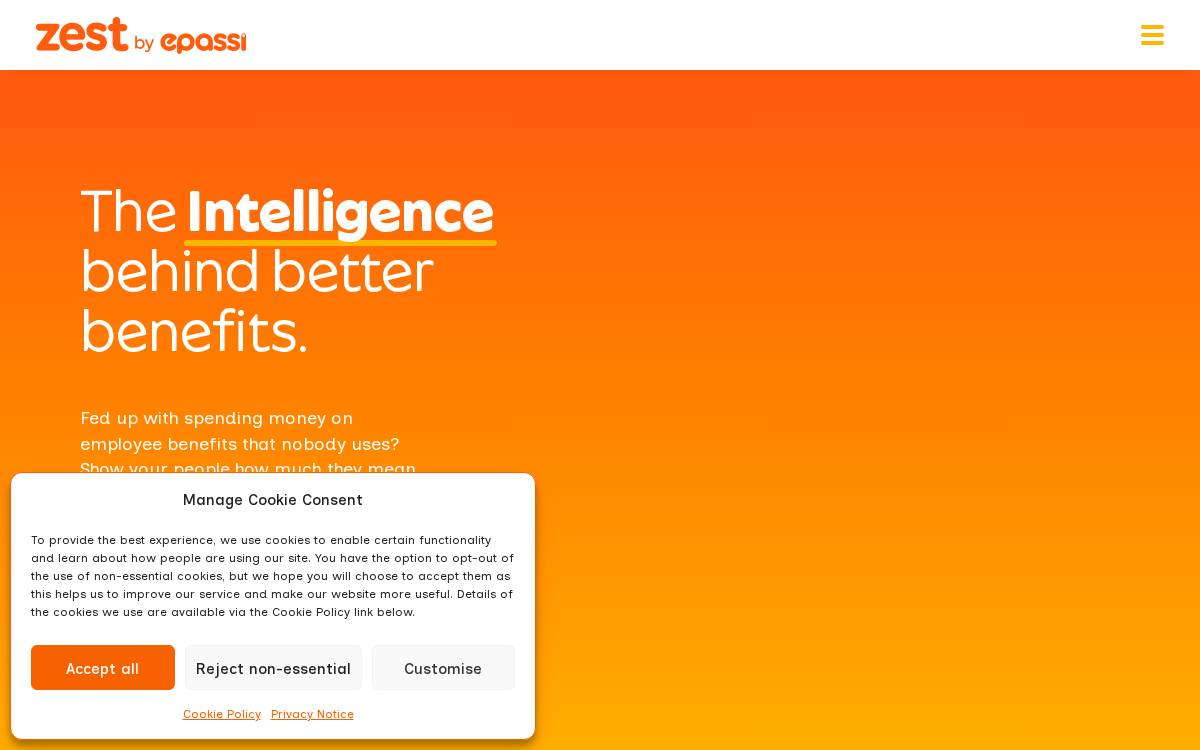Zest website preview