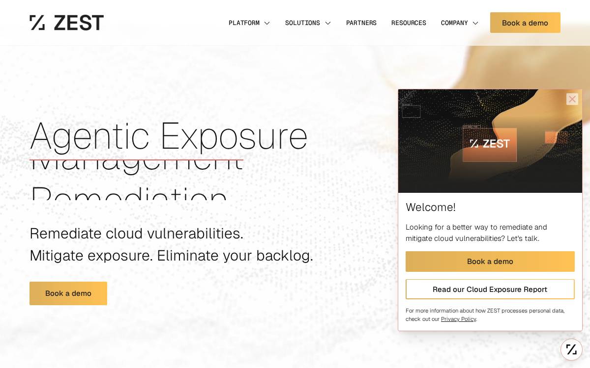ZEST Security website preview