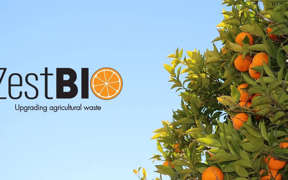 Zestbio website preview