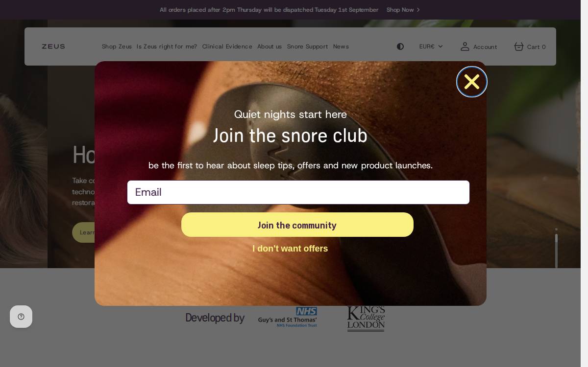 Zeussleeps website preview