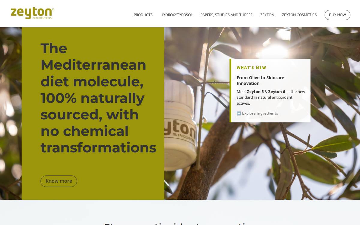 Zeyton website preview