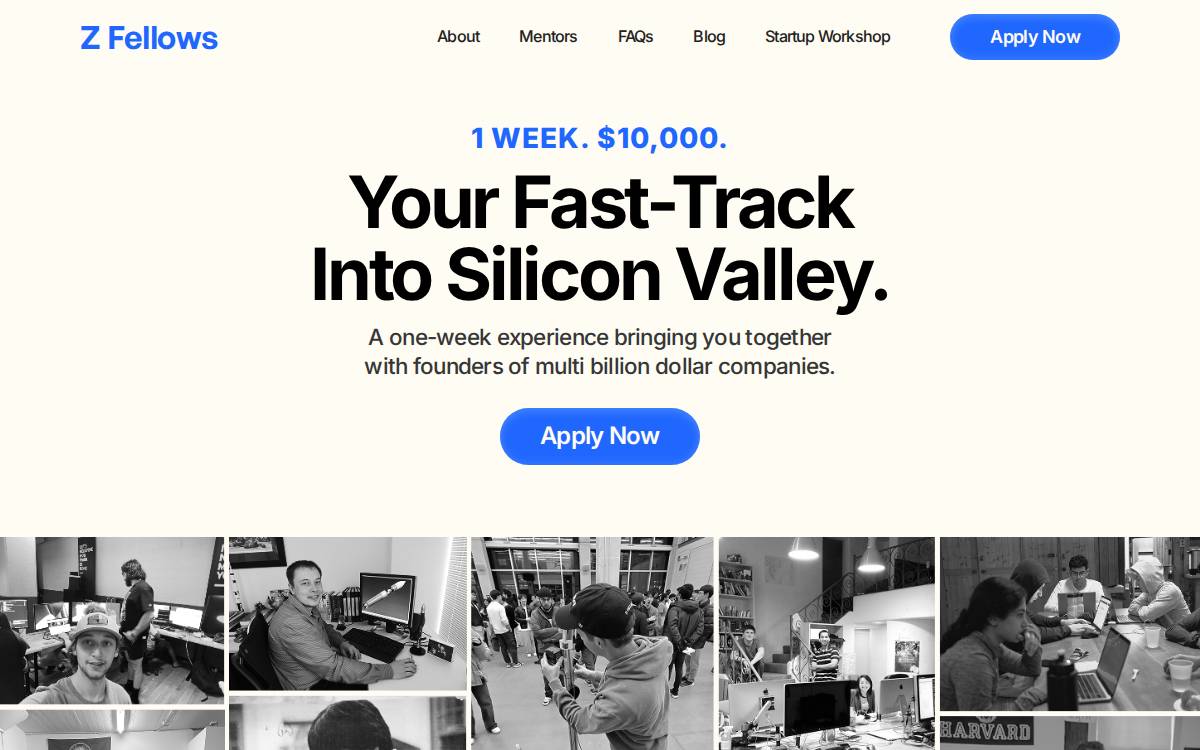 Zfellows website preview