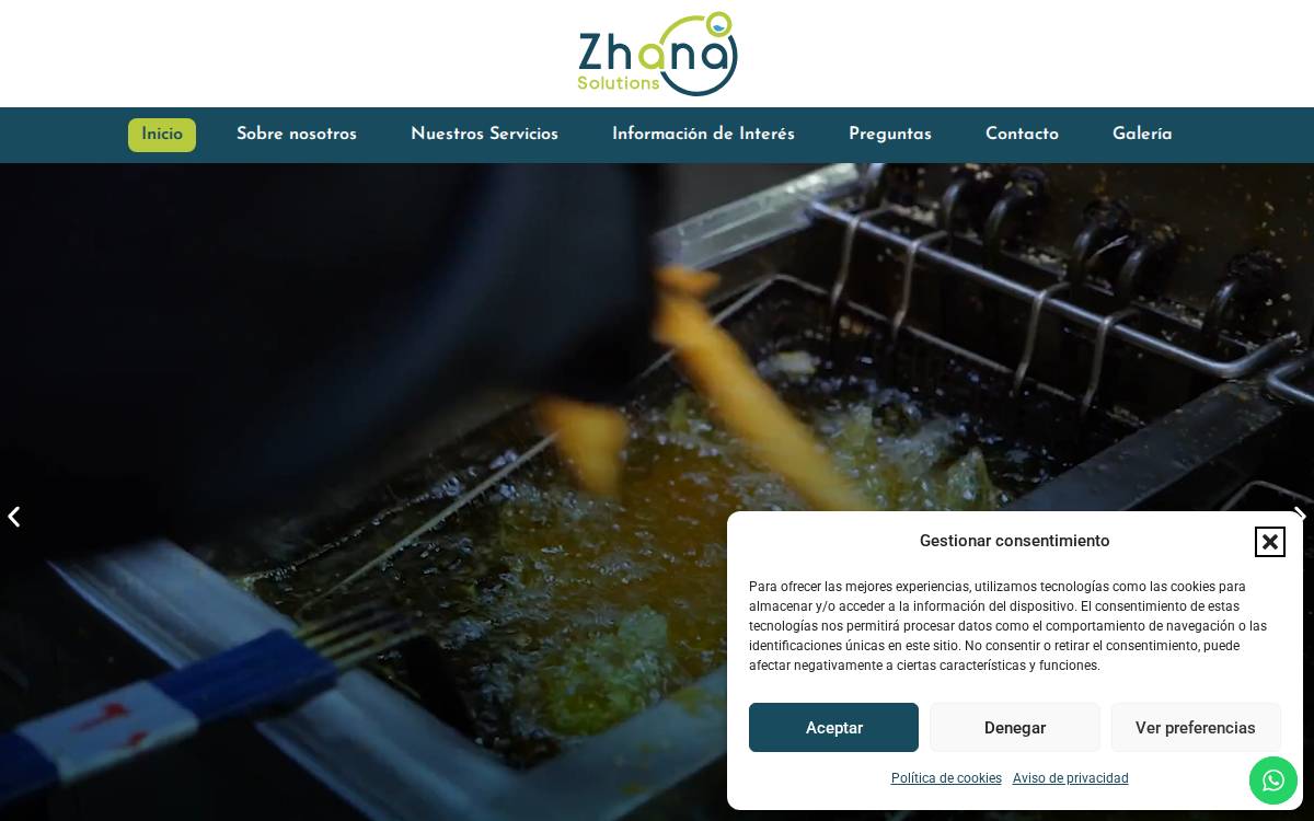 Zhana Solutions website preview
