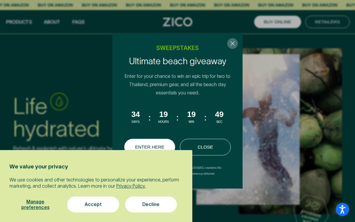 Zico website preview
