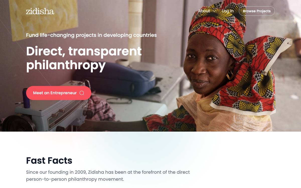 Zidisha website preview