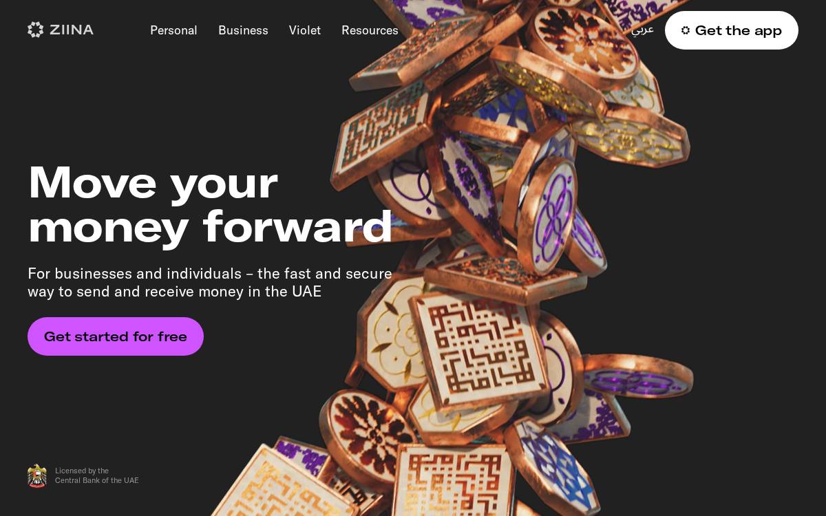 Ziina website preview