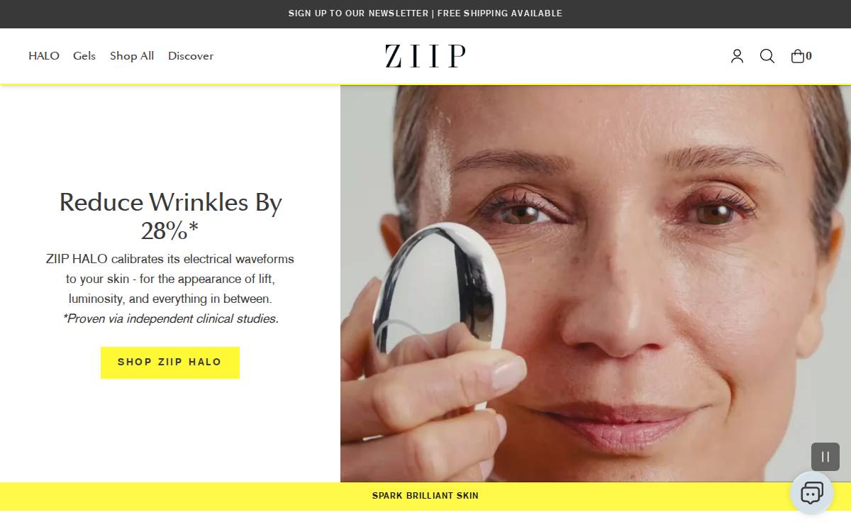 Ziip website preview
