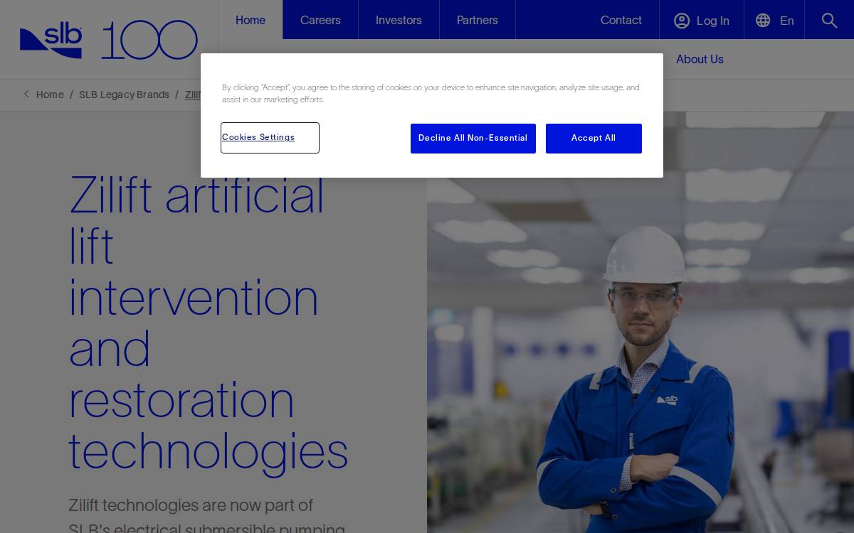 Zilift website preview