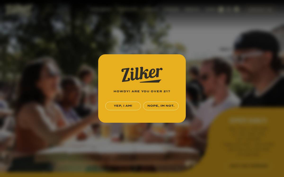 Zilker website preview