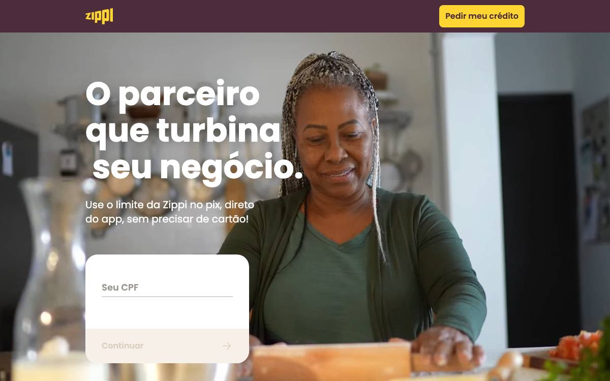 Zippi website preview