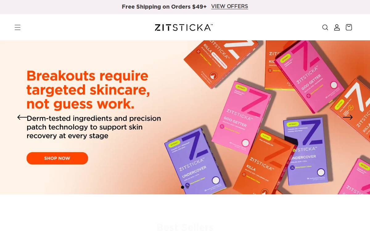 ZitSticka website preview
