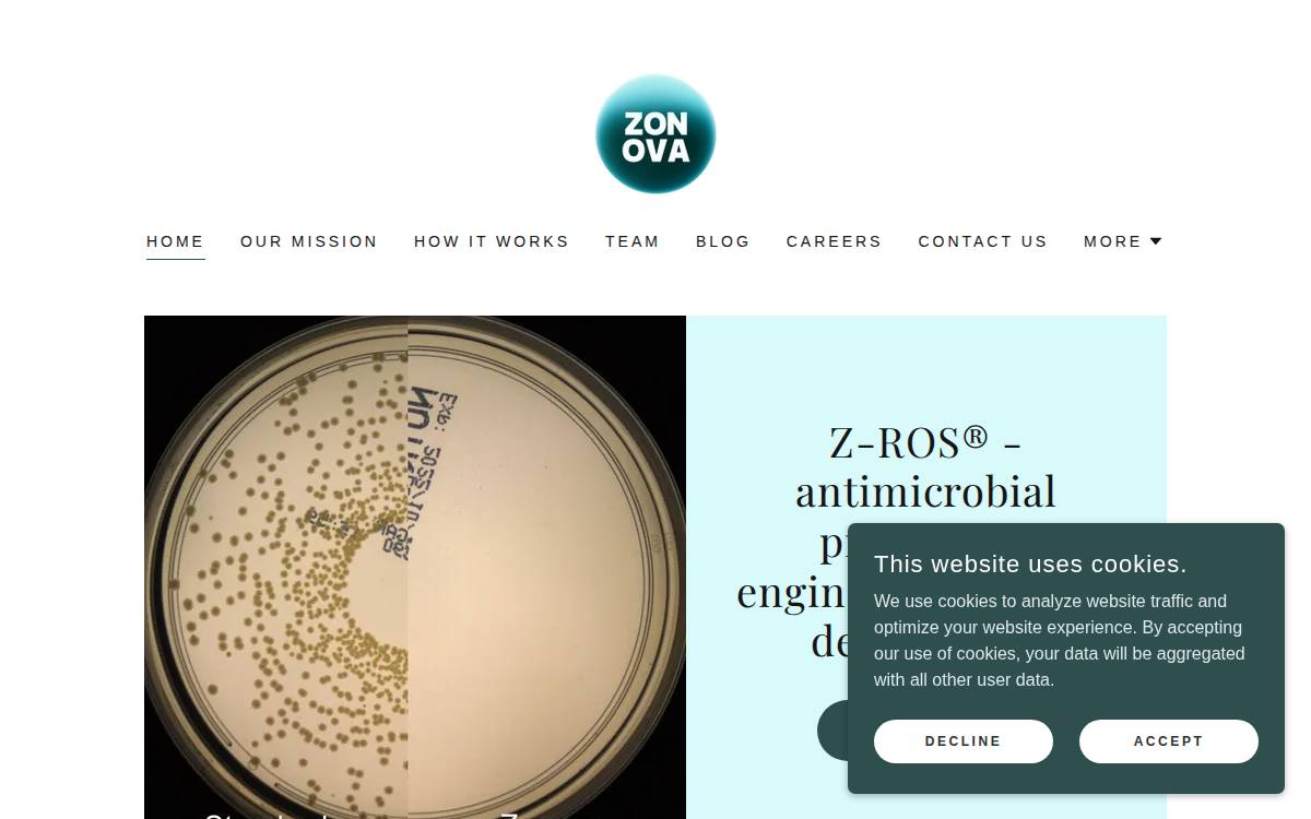 Zonova website preview