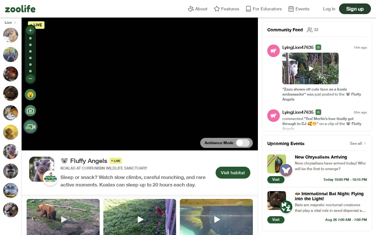 zoolife website preview