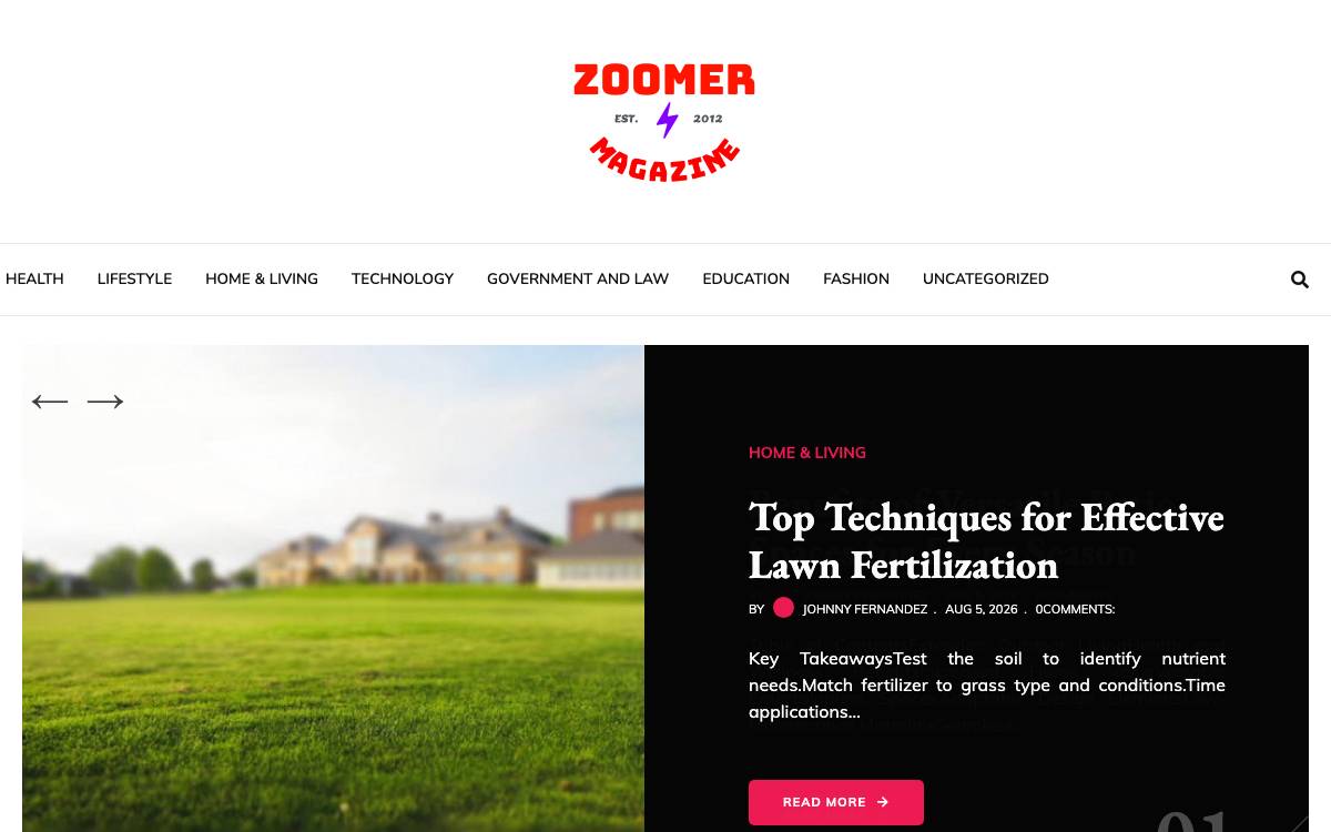 Zoomer website preview