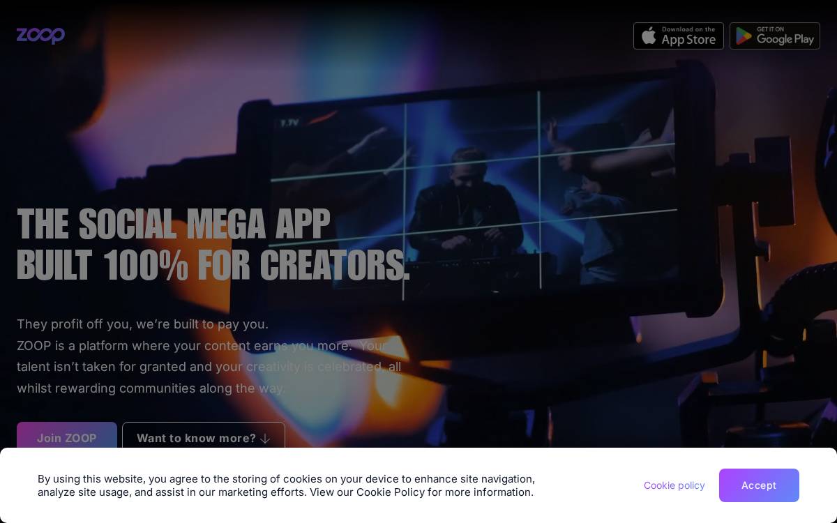 Zoop website preview