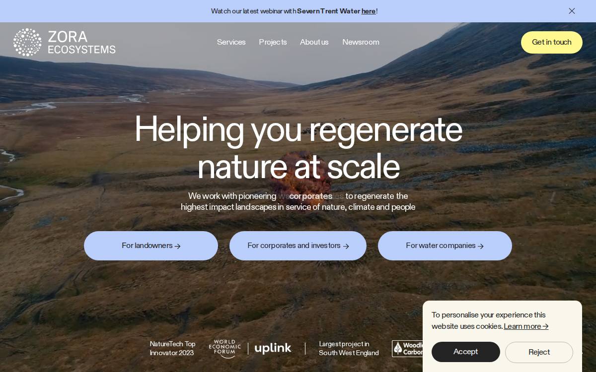 Zora website preview