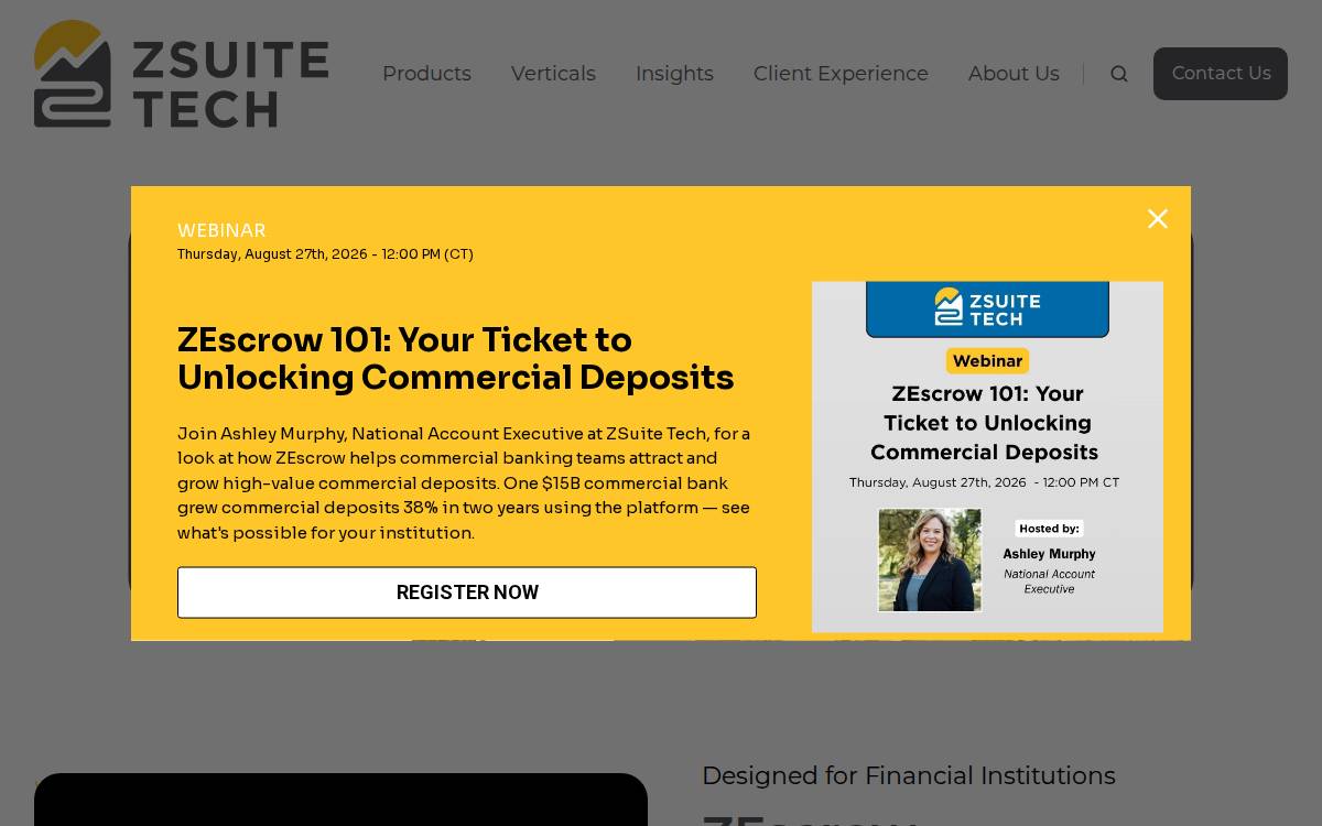 ZSuite Tech website preview