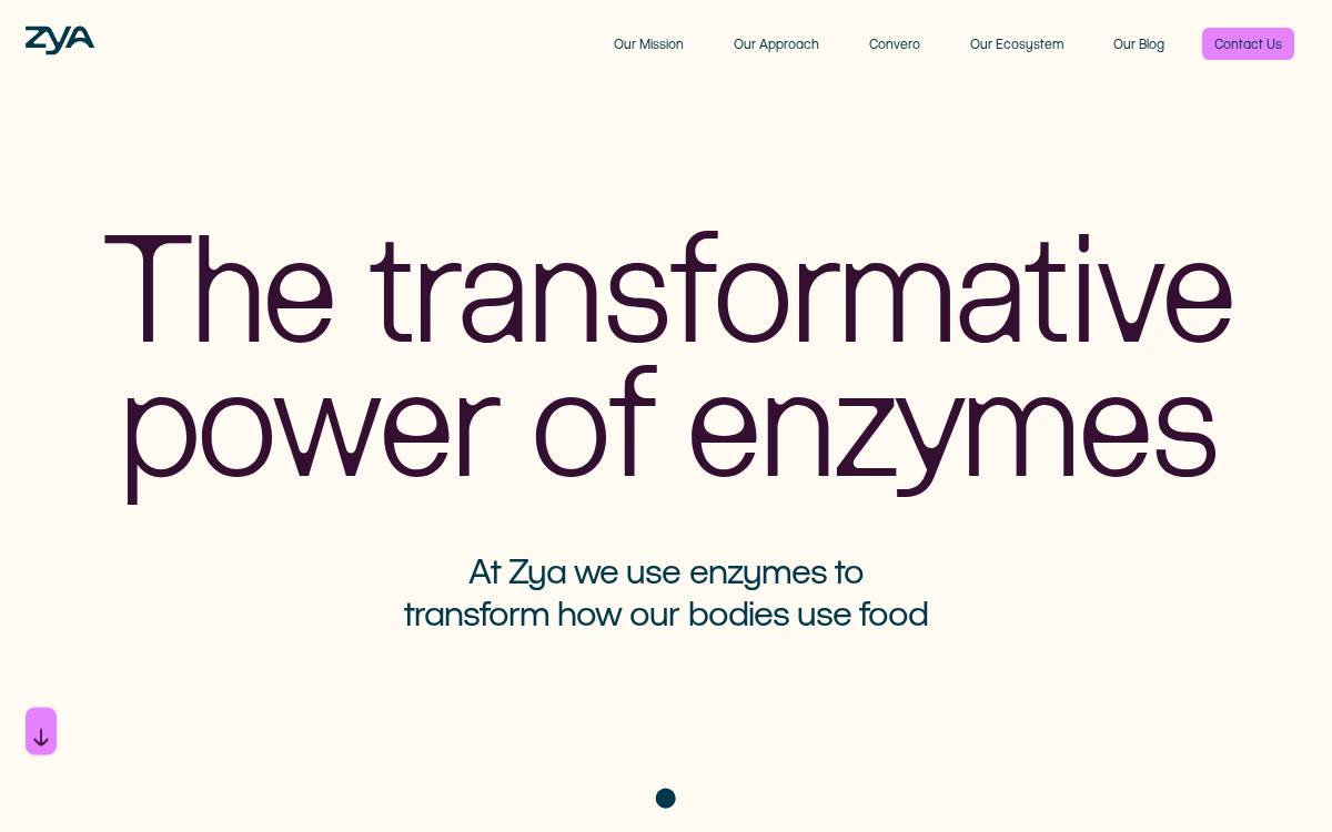 Zya website preview