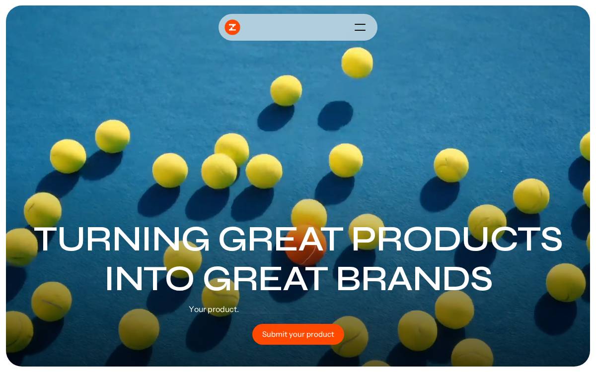 Zyg website preview