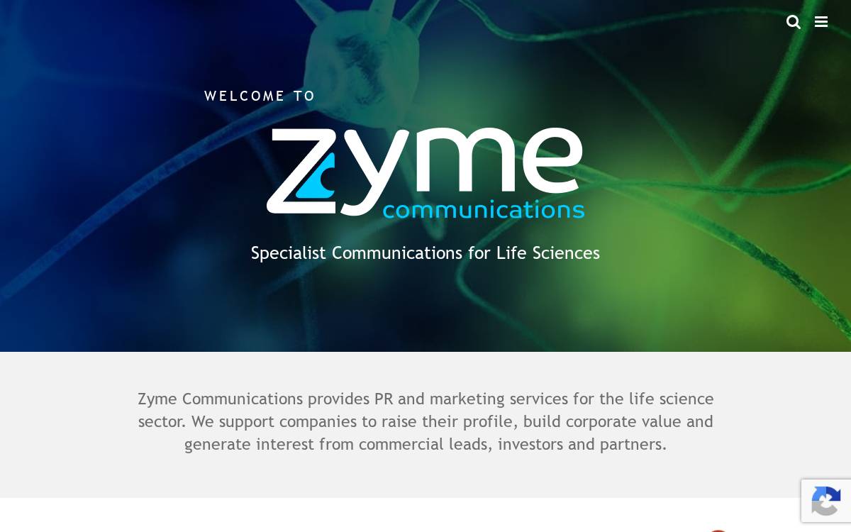 Zyme Communications website preview