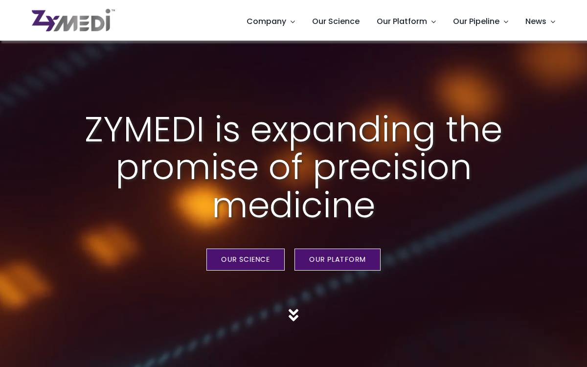 Zymedi Venture Capital website preview