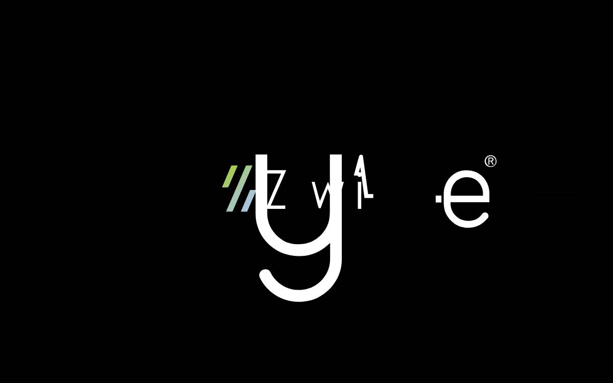 Zywie website preview