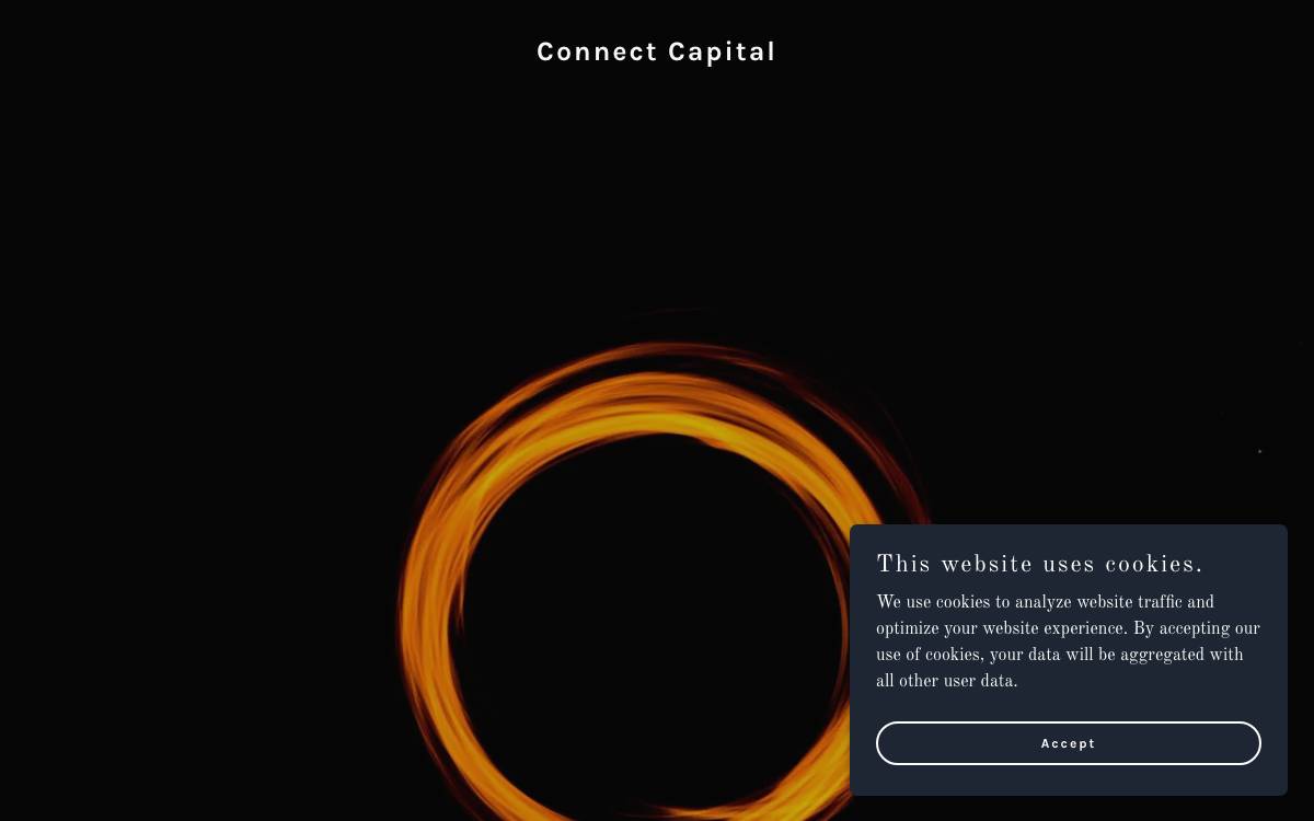 Connect Capital website preview