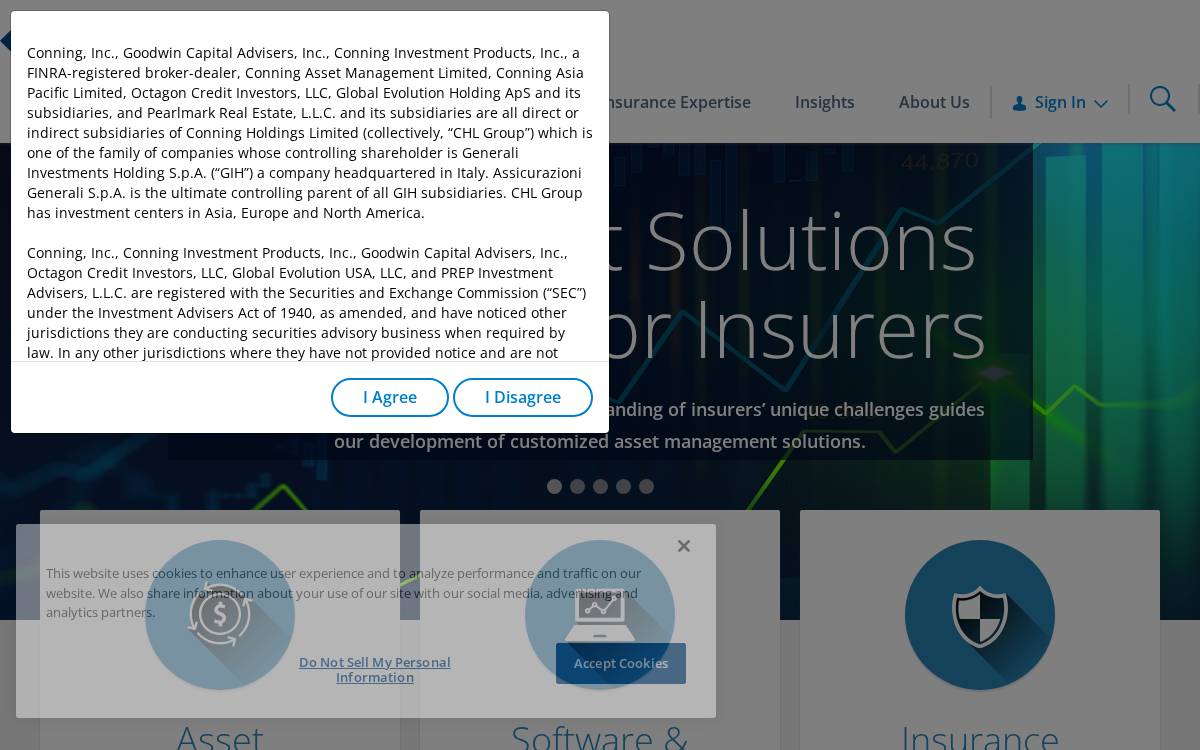 Conning website preview