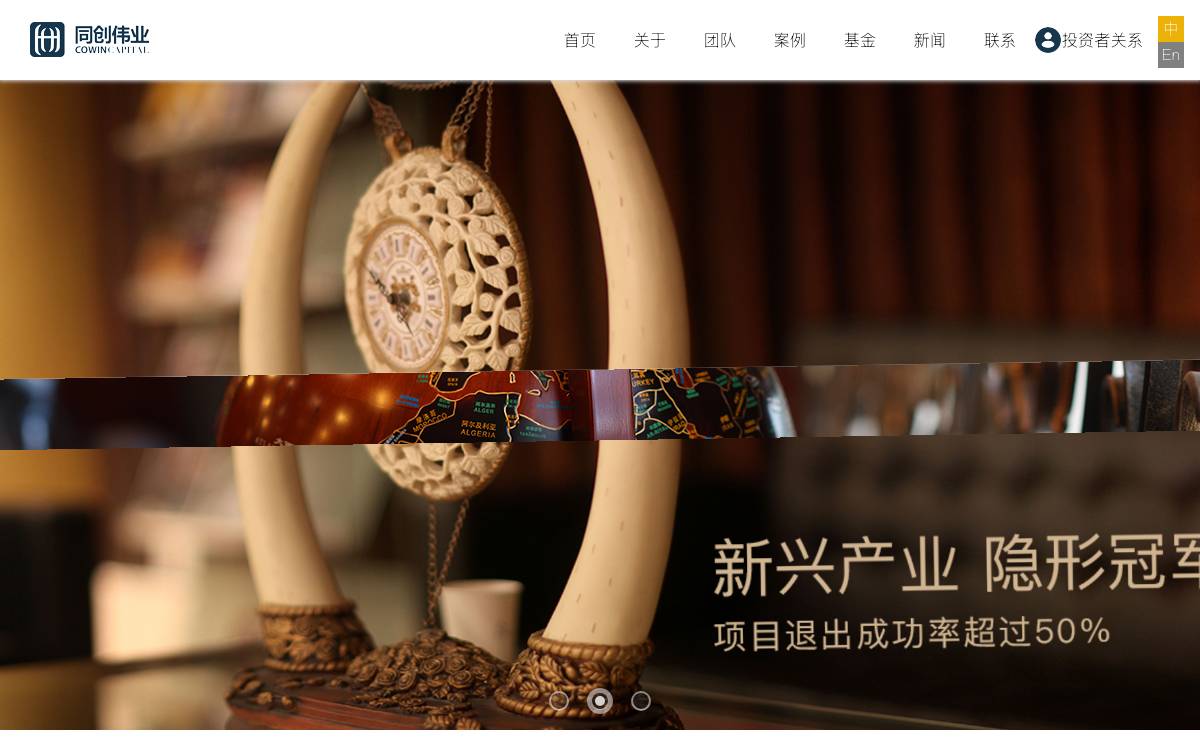 Cowin Capital Group website preview