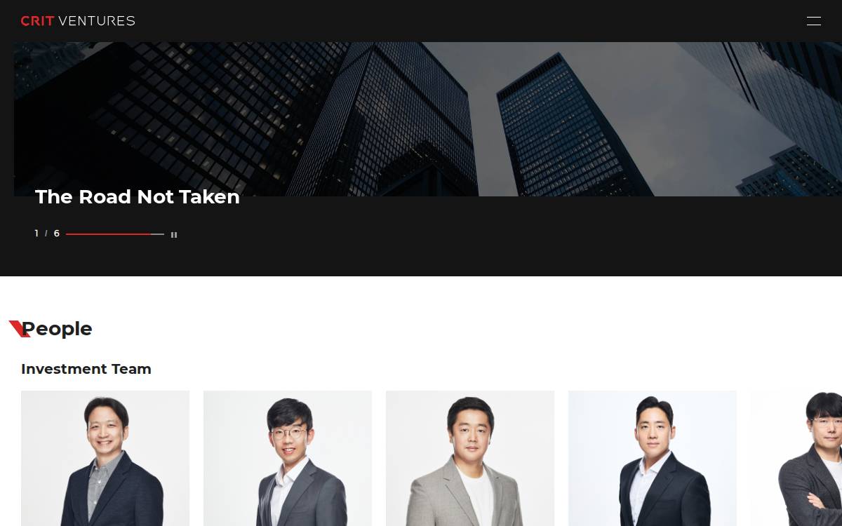 Crit Ventures website preview