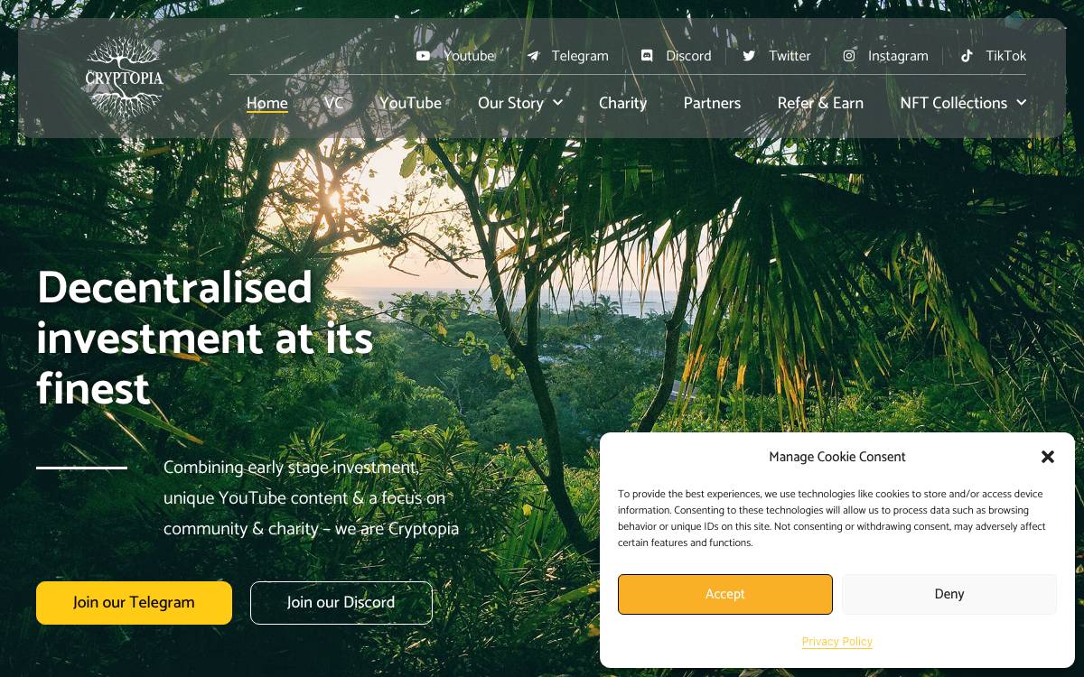 Cryptopia VC website preview