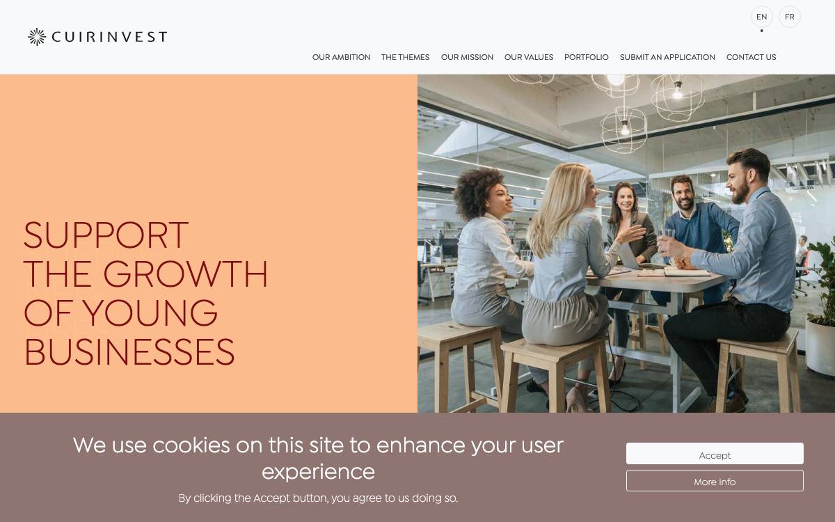 Cuir Invest website preview
