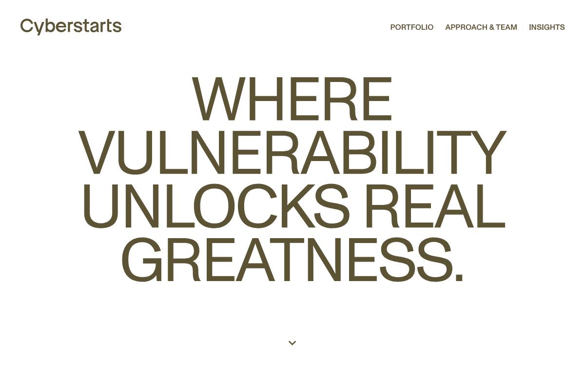 Cyberstarts website preview