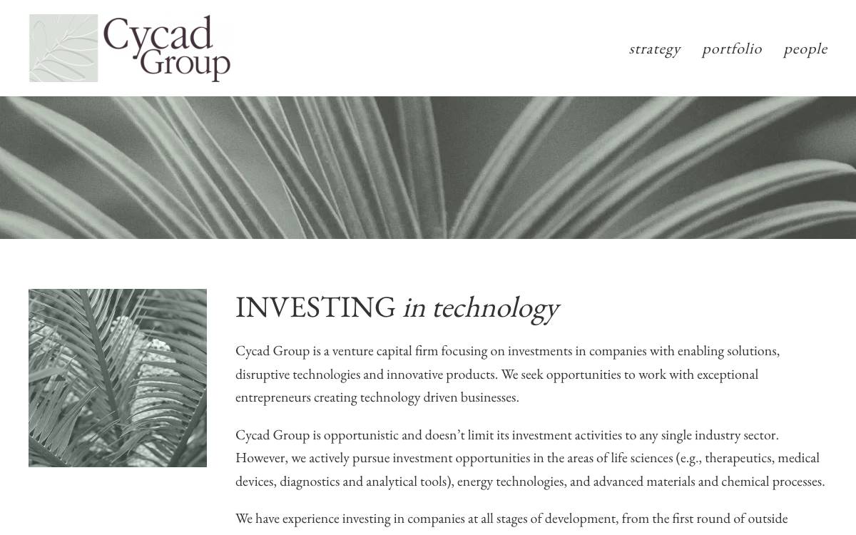 Cycad Group LLC website preview