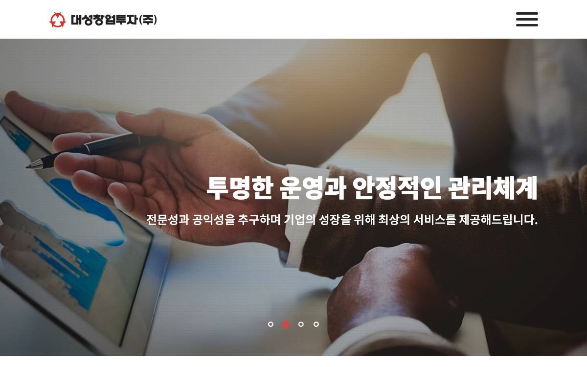 Daesung Private Equity website preview