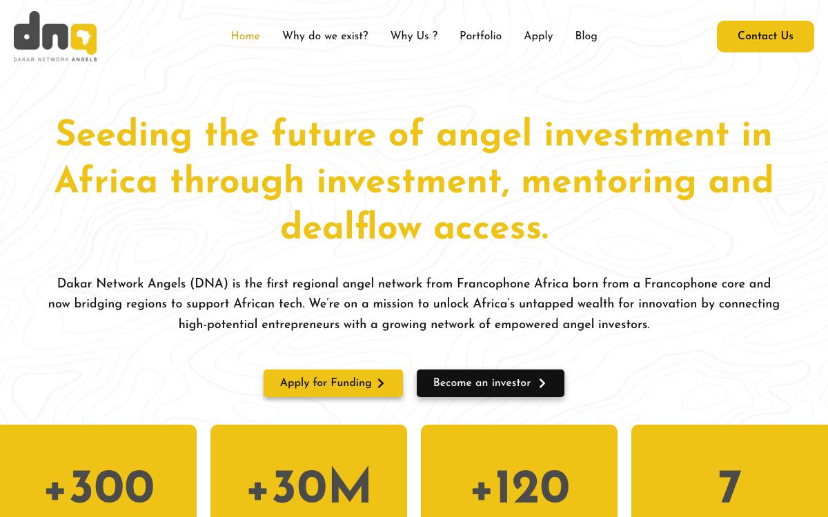 Dakar Network Angels (DNA) website preview
