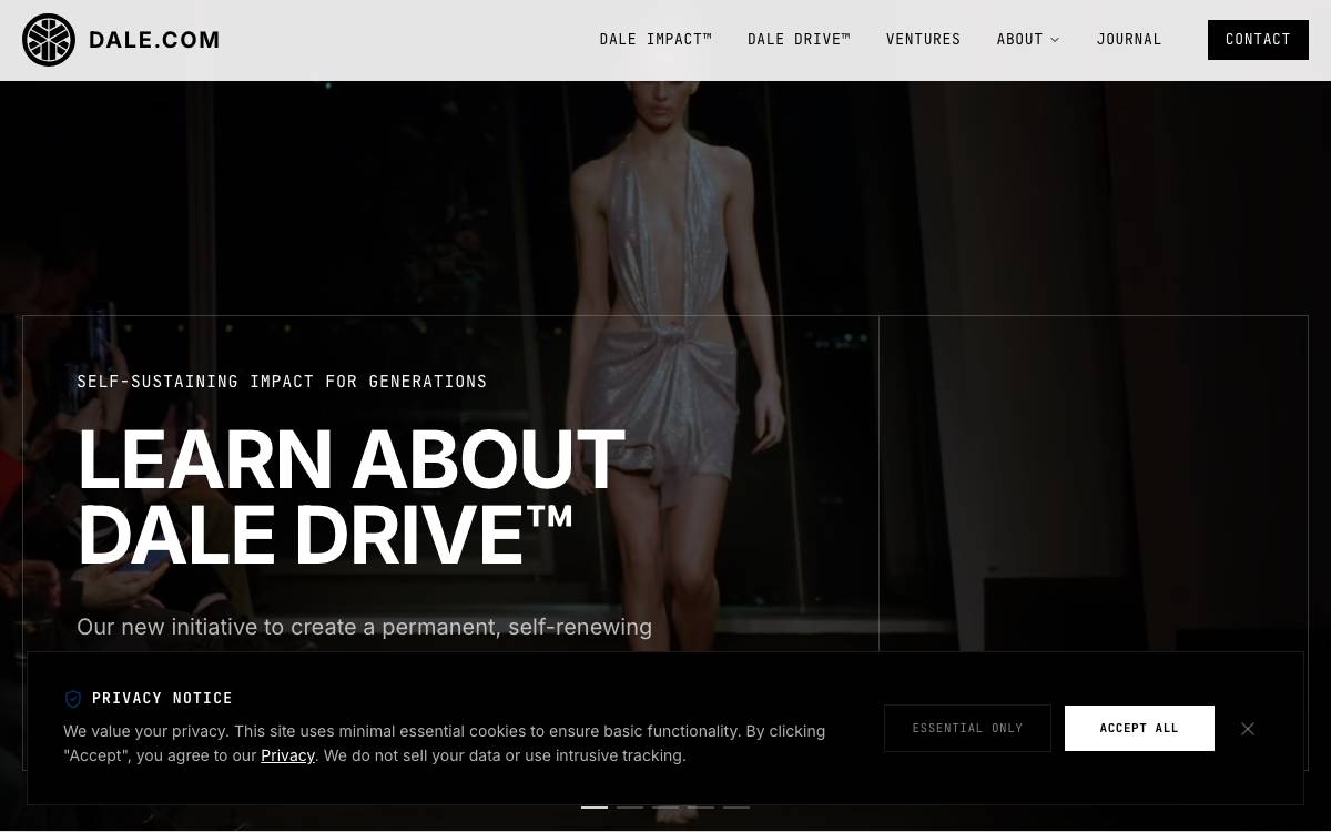 Dale Ventures website preview