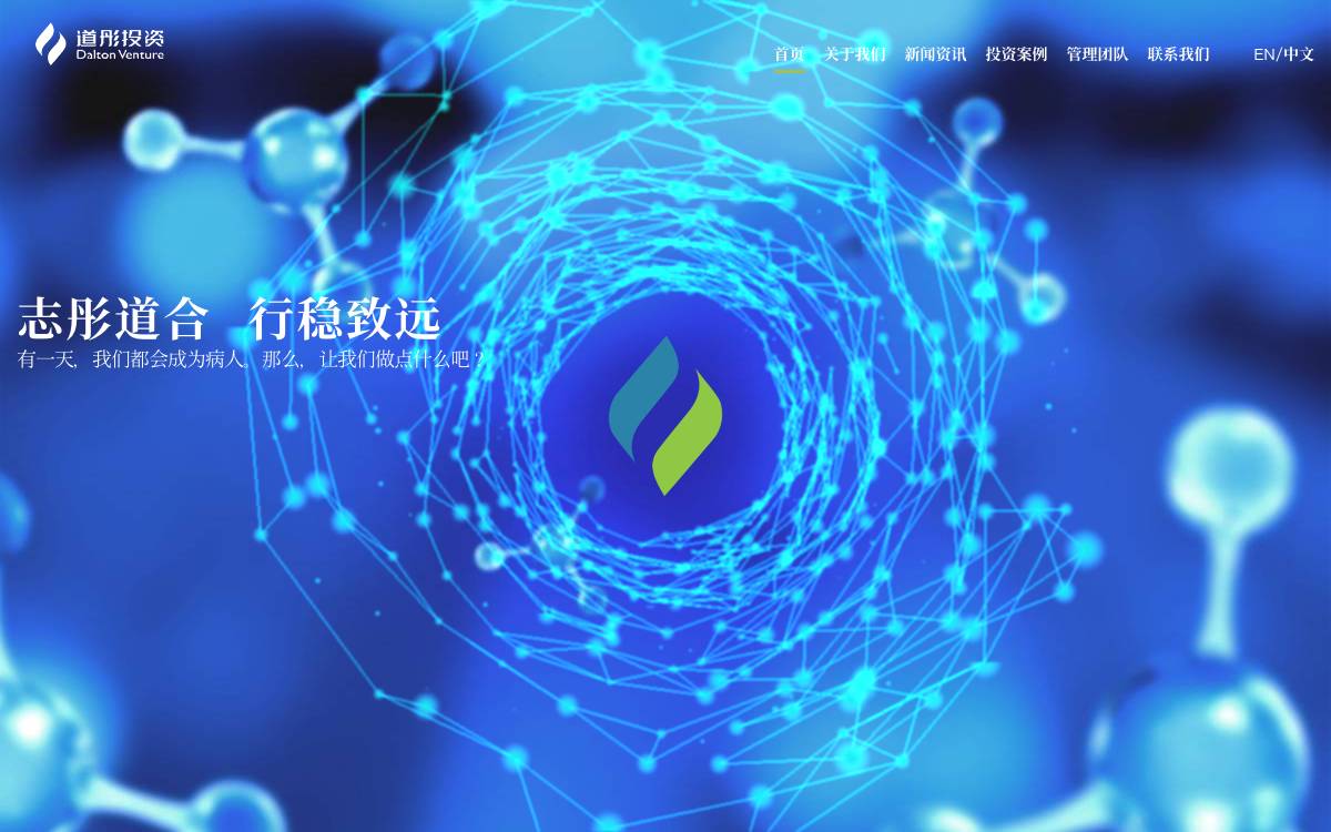Dalton Venture website preview