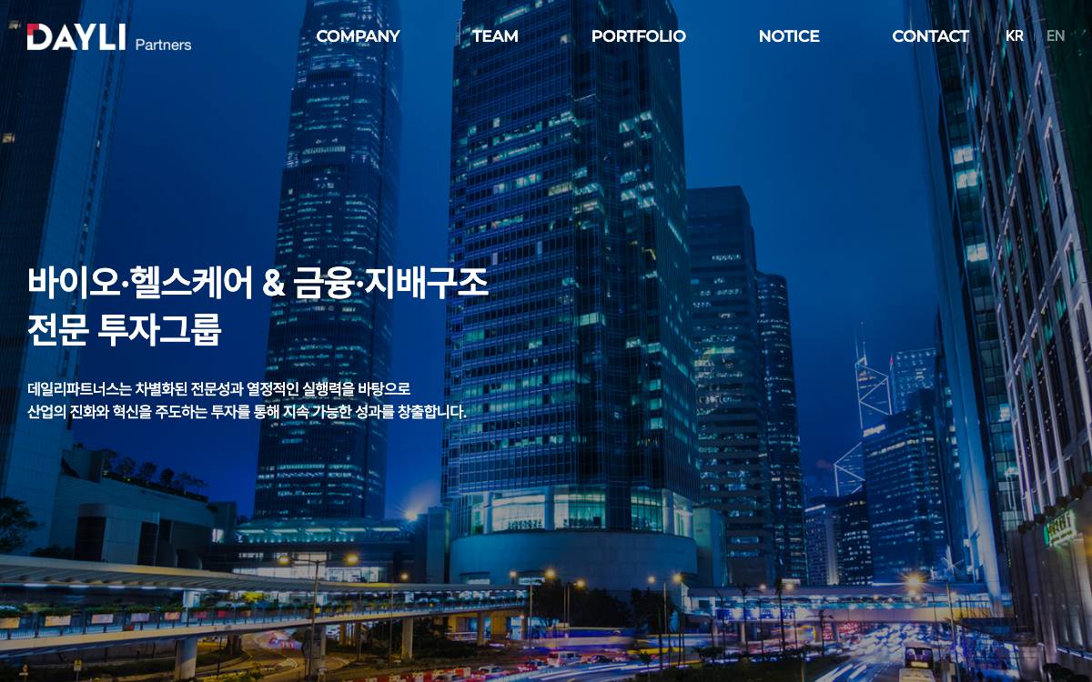 DAYLI Partners website preview