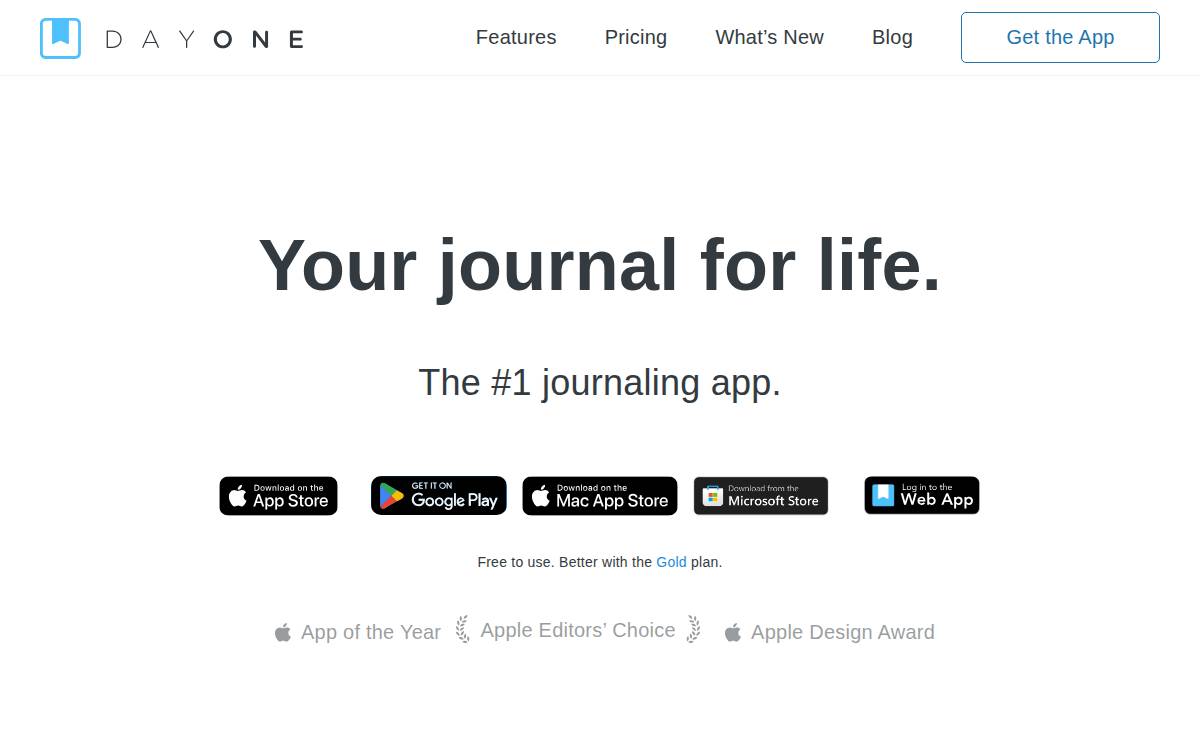 DayOne website preview