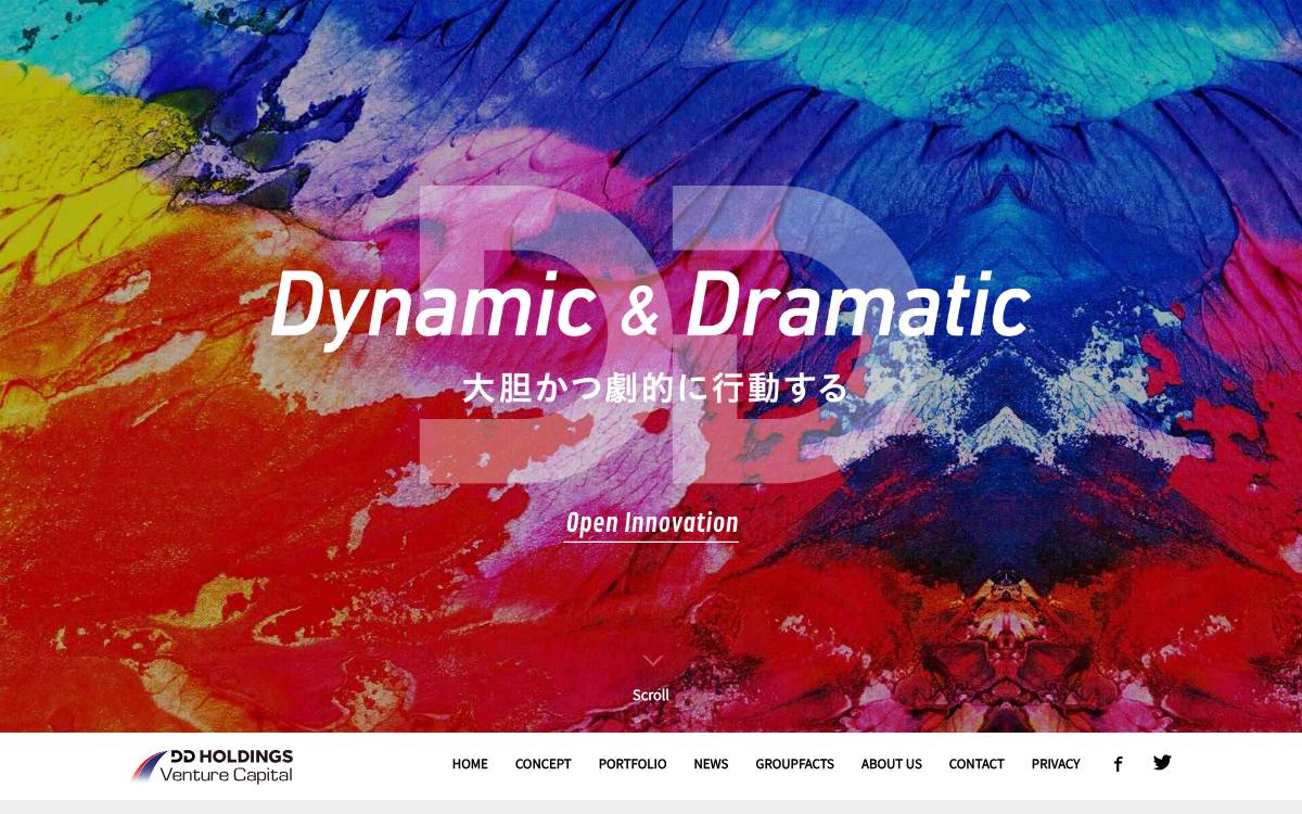 DD Holdings Venture Capital website preview