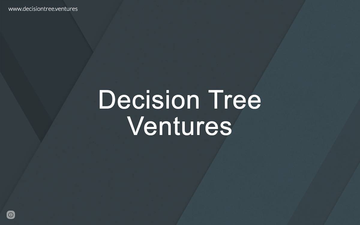 Decision Tree Ventures website preview