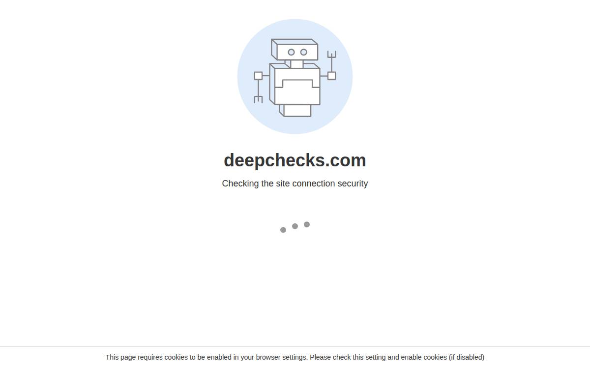 Deep Checks website preview