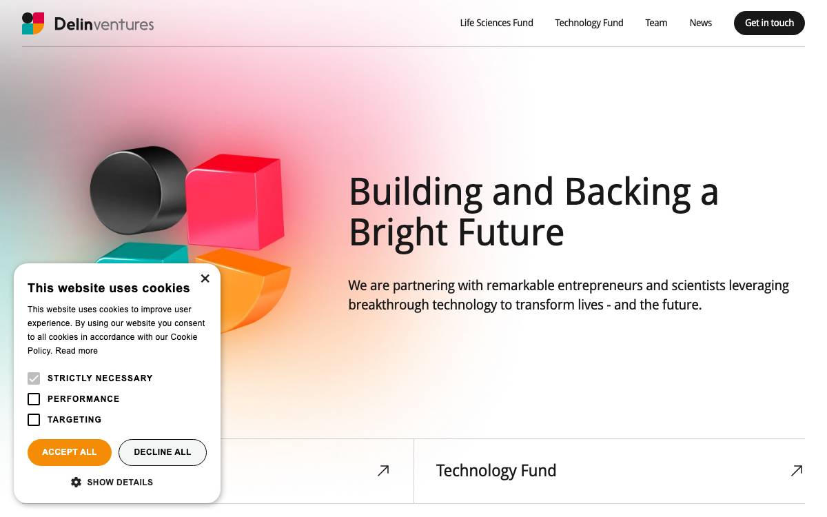 Delin Ventures website preview