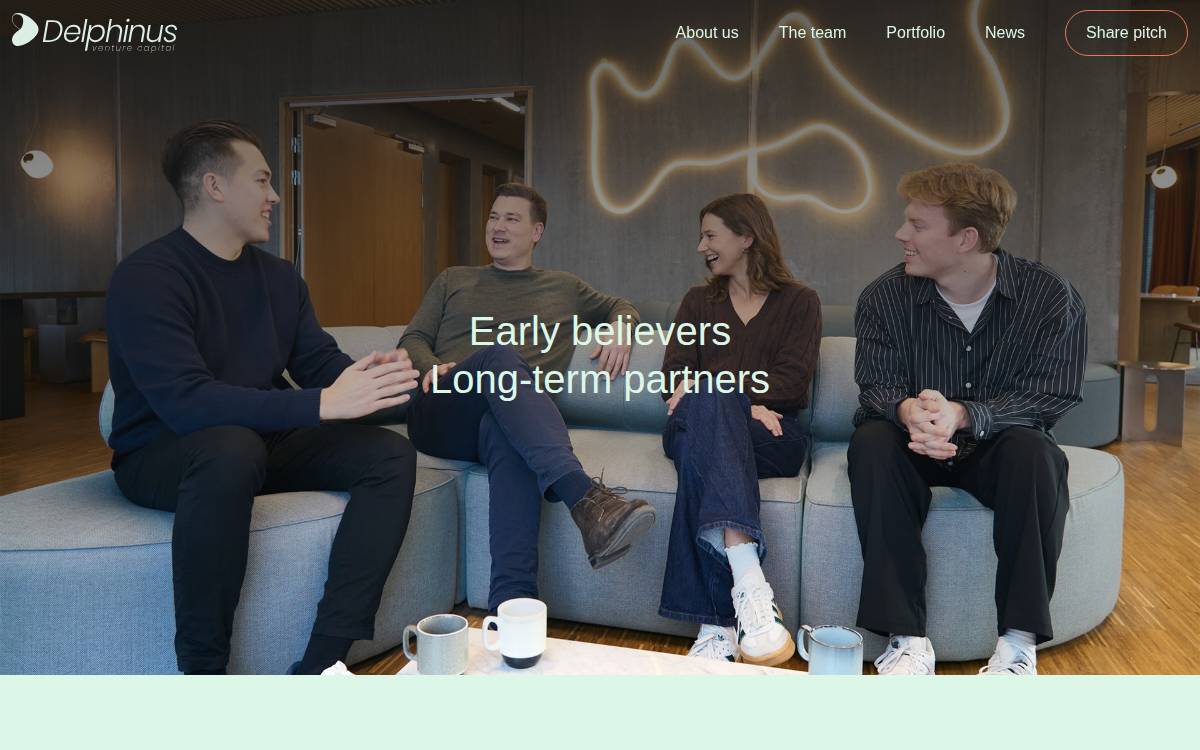 Delphinus Venture Capital website preview