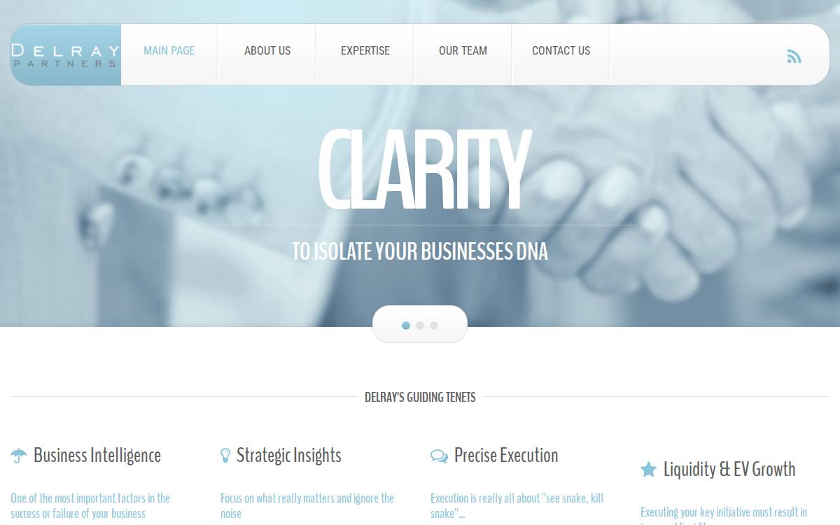 delray partners website preview