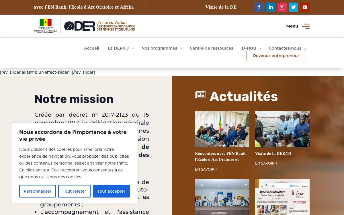 DER/FJ Senegal website preview
